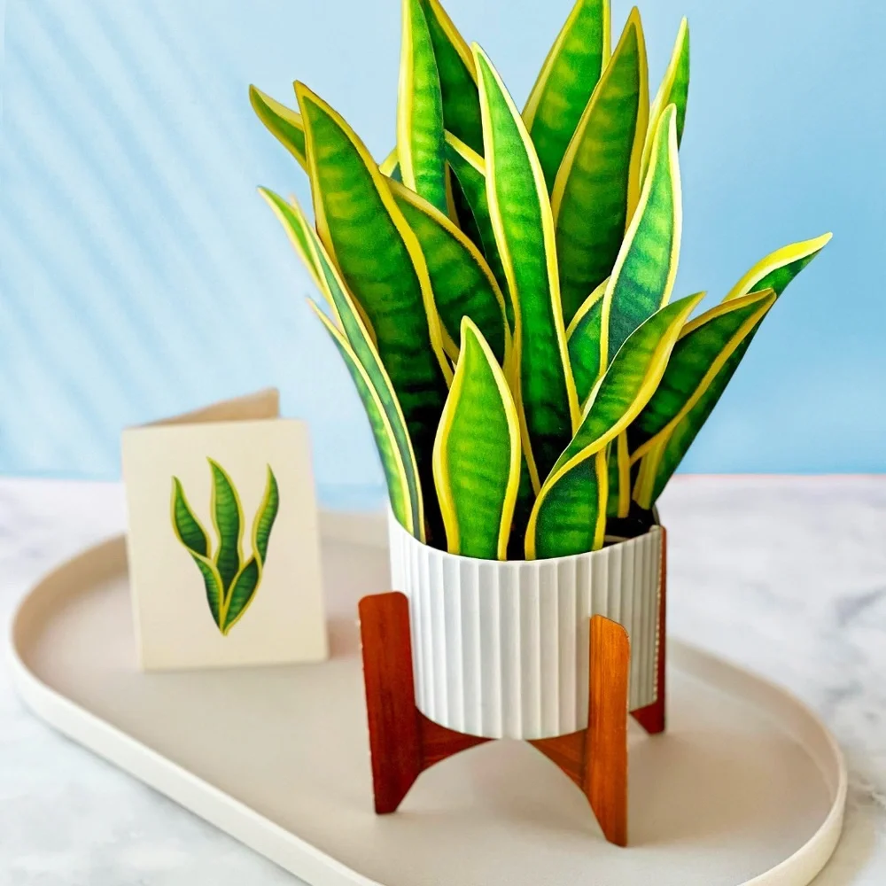 New 4 pc Life Sized‎ Paper House Plants 3D Cards